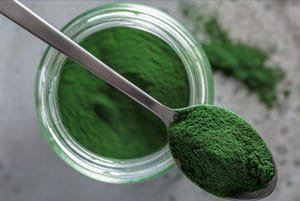 chlorella