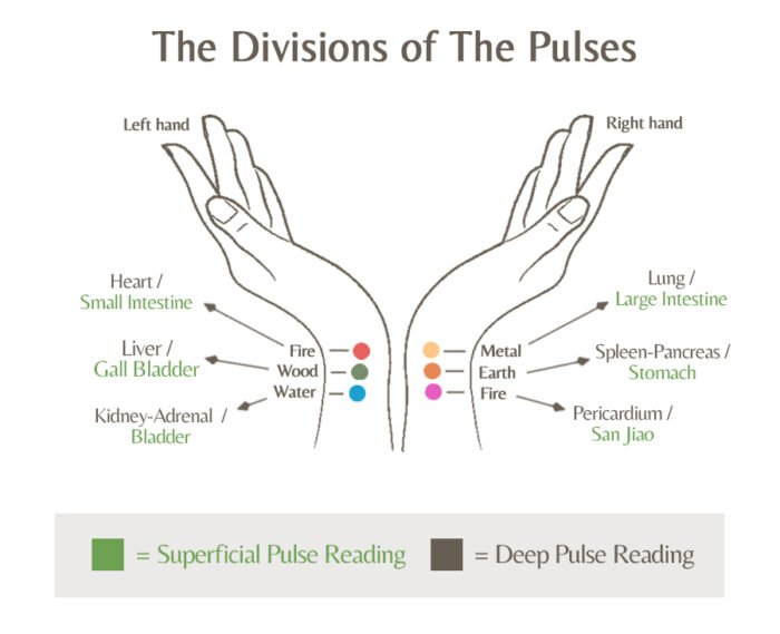 Pulse Diagnosis In Acupuncture Tonika Health