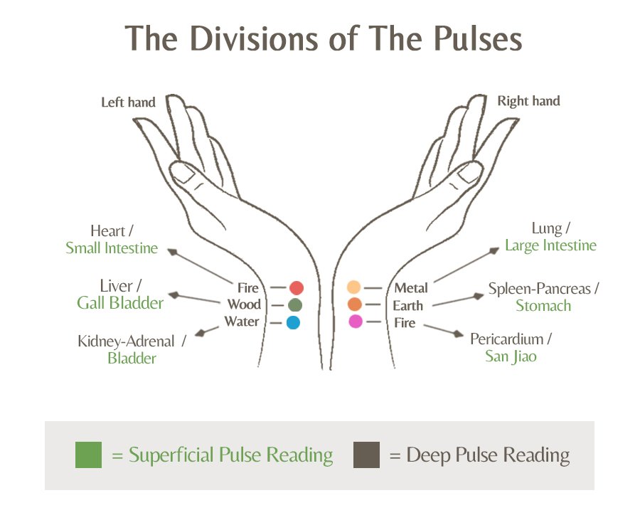 pulse diagnosis chart