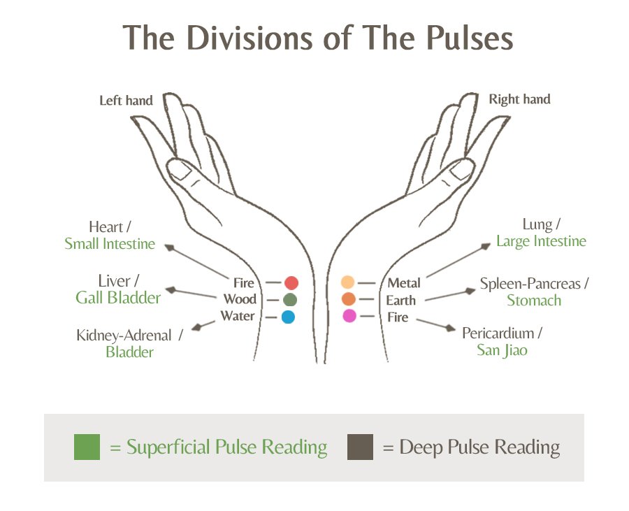 pulse-diagnosis-in-acupuncture-tonika-health