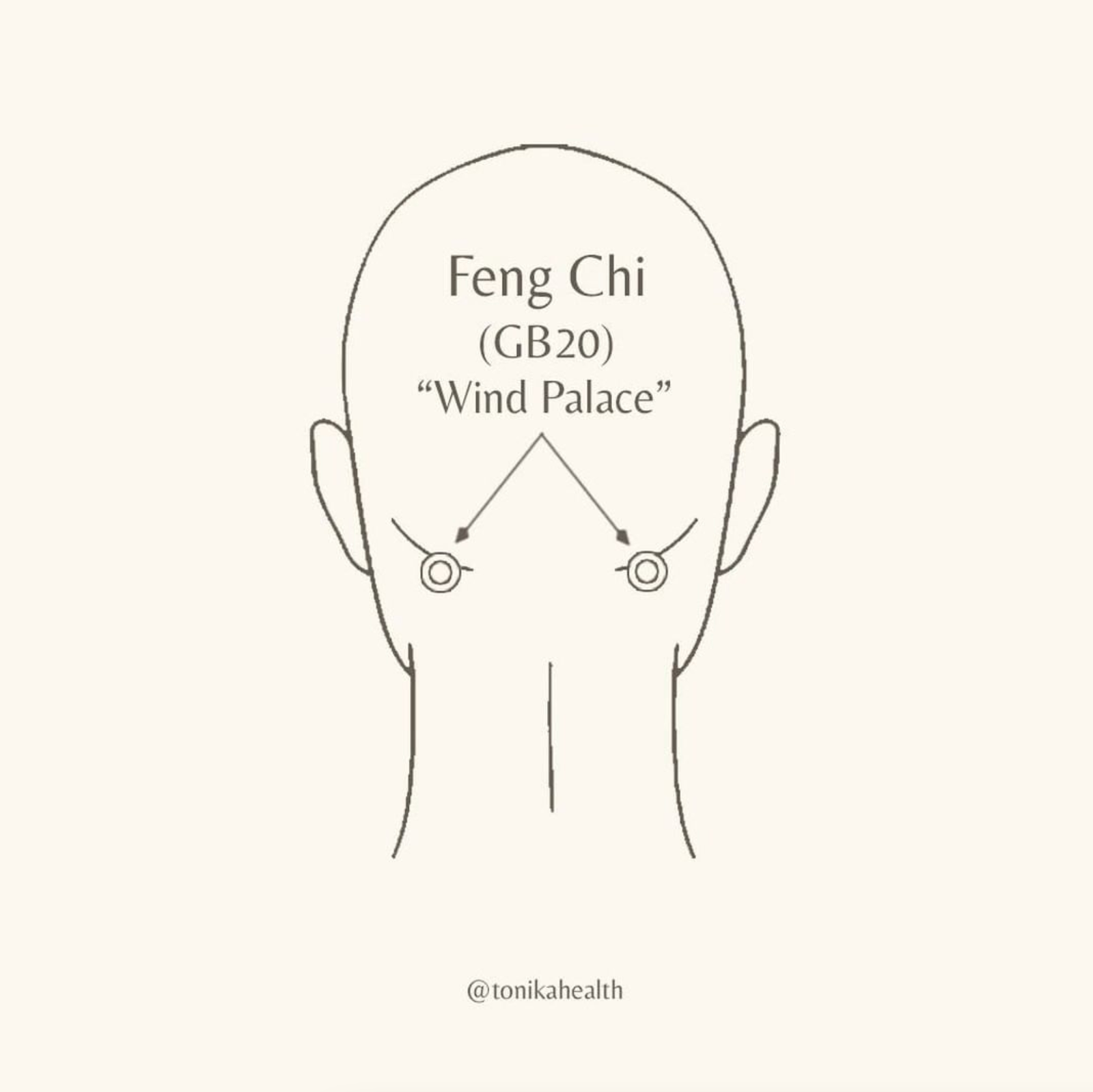 Feng Chi Acupressure Point