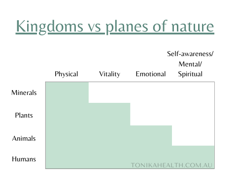 Image chart of kingdoms vs planes of nature. Blog named "Protein 101 - All About Protein For Optimal Healing and Health" by tonika health 