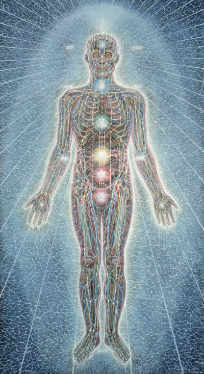 Image artwork of the Alex Grey psychic energy system that displays the physical and energetic bodies of a human. Blog named "Protein 101 - All About Protein For Optimal Healing and Health" by tonika health 